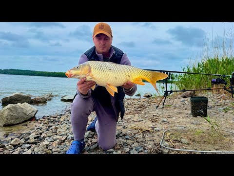 Видео: ЛОВЛЯ САЗАНА на р ДНЕПР  С Ночёвкой за Трофеями.