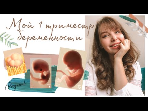 Видео: БЕРЕМЕННОСТЬ - МОЙ 1 ТРИМЕСТР  🤰