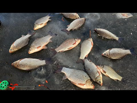 Видео: СДЕЛАЛ САМ и НАЛОВИЛ КРУПНОГО карася,  зимняя рыбалка