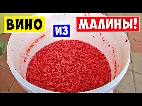 Видео: МАЛИНОВОЕ ВИНО. Вино из Малины! Это очень просто и нереально вкусно!!! Raspberry Wine!