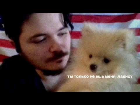 Видео: Маргинал – Дебаты с Блицом