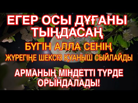 Видео: БҮГІН ДҰҒАНЫ ТЫҢДА – АЛЛА САҒАН ШЕКСІЗ ҚУАНЫШ БЕРЕДІ, АРМАНЫҢ 100% ОРЫНДАЛАДЫ!