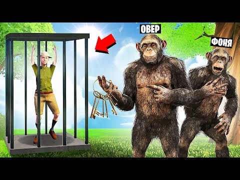 Видео: ОБЕЗЬЯНЫ ПРОТИВ ОХРАННИКА! УГАР И БЕЗУМИЕ В ЗООПАРКЕ