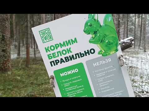 Видео: Прогулка выходного дня 