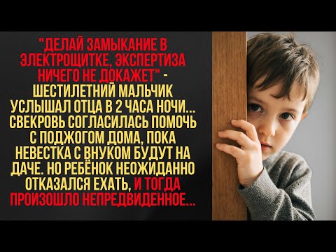 Видео: Свекровь подожгла дом невестки ради СПАСЕНИЯ сына от долгов. Маленький внук РАСКРЫЛ заговор родных..