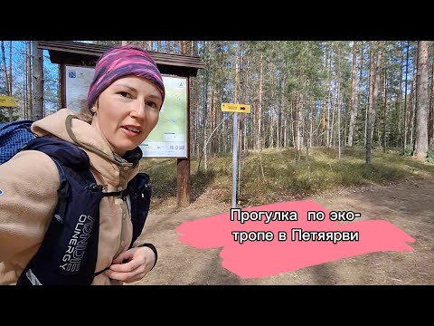 Видео: Куда съездить за город в выходные? | Гряда Вярямянселькя, эко тропа в Петяярви