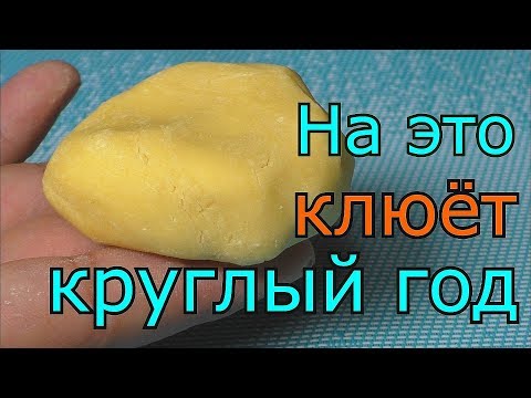 Видео: Тесто для рыбалки