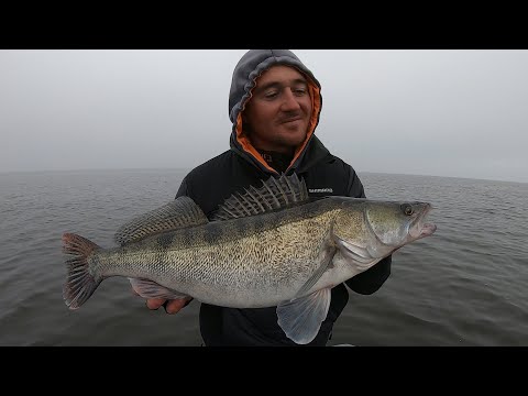 Видео: Ловля СУДАКА на джиг с лодки поздней Осенью