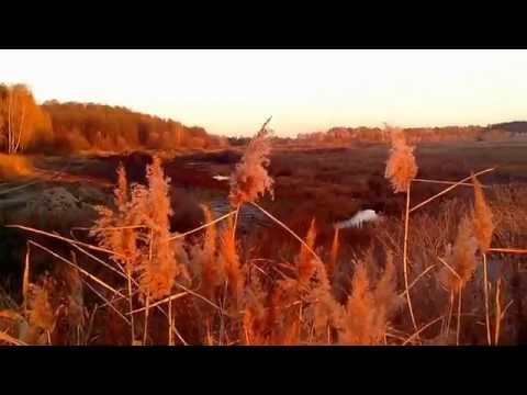 Видео: Табула Раса - Дорога (Прогулка вдоль р. Фоса 26.10.2014)