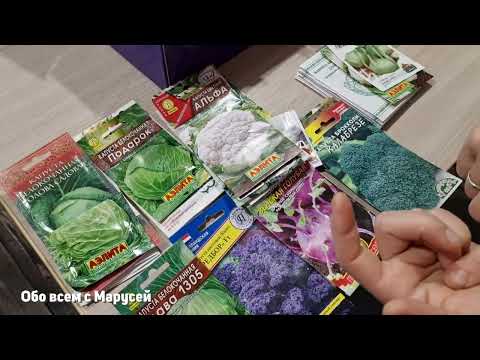 Видео: ЧТО ПОСЕЕМ В 2025 СЕМЕНА ОВОЩЕЙ КАКИЕ СОРТА ВЫБИРАЮ МОЙ ОПЫТ ВЫРАЩИВАНИЯ @obovsemsmarusya