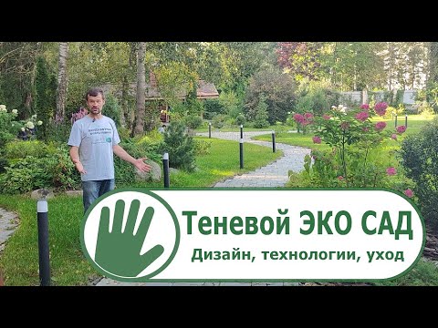 Видео: Видео журнал "СОФ №108" ТЕНЕВОЙ ЭКО САД. Дизайн, технологии и уход