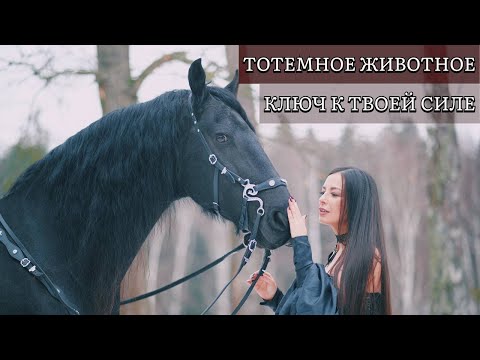 Видео: Тотемное животное - ключ к твоей силе