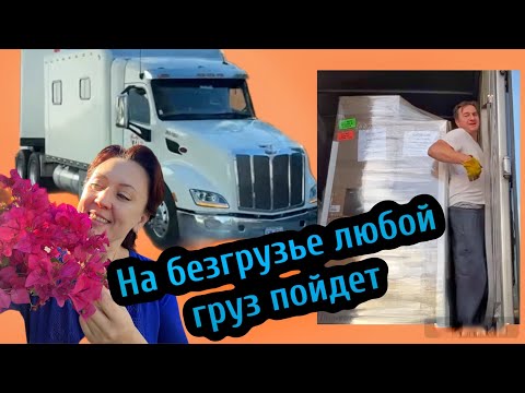 Видео: Дальнобой по США 2023, долгая выгрузка в Калифорнии