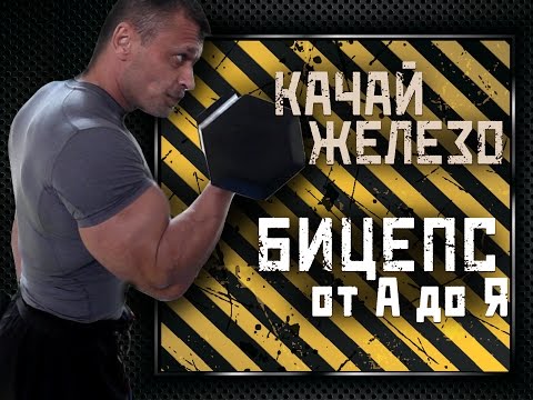 Видео: БИЦЕПС от А до Я с Вячеславом Герасимовым
