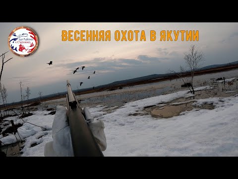 Видео: Весенняя охота сезона 2023