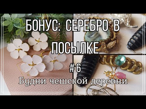 Видео: #6 Серебряная брошь в посылке\ Новый жук в коллекцию\ Кольца на салфетки #чехия #чешскаябижутерия