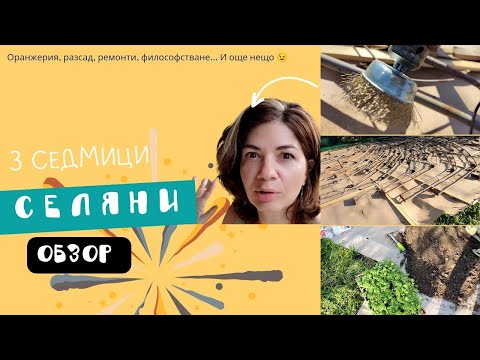 Видео: От три седмици живеем на село| Какви ги вършим? Децата, училището, дворът и впечатленията ни до тук