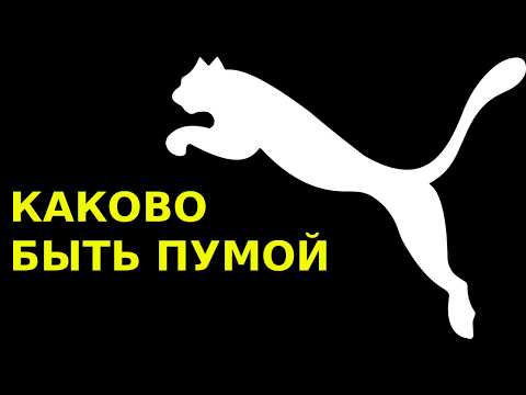 Видео: POV: ТЫ - ПУМА