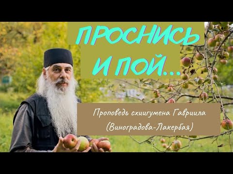 Видео: Проснись и пой. Кавказский скит Валаамского монастыря. О. Гавриил. Проповедь. Верю @ЕленаКозенкова.ВЕРУЮ