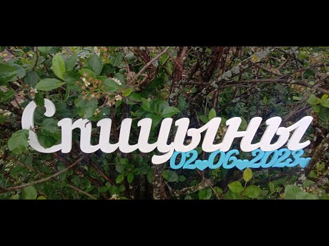 Видео: Фотосессия. Слова. Надписи. Как выпилить большую деталь. Сделай сам.