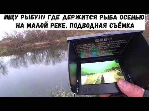 Видео: Так вот где рыба в ноябре прячется! 24 часа на реке с подводной камерой