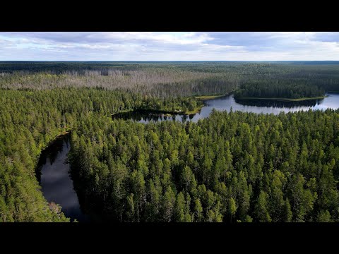 Видео: Река Уксунйоки в Республике Карелии