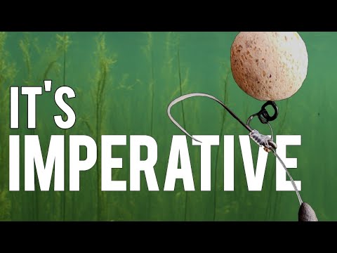 Видео: Изучаем, как ваша оснастка и поводок ведут себя в водорослях. Подводные съёмки.