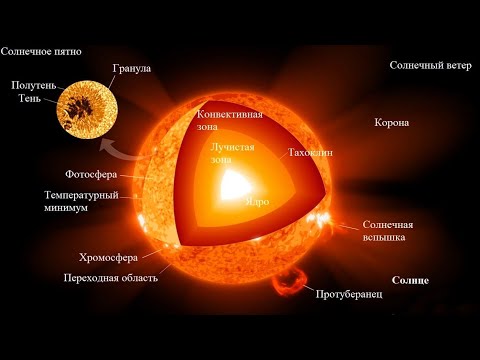 Видео: Солнце (рассказывает астроном Анна Гинтере)