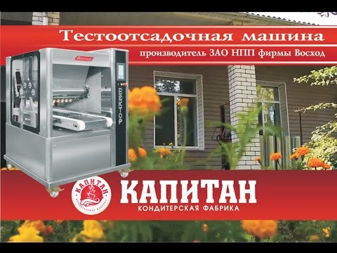 Видео: Тестоотсадочная машина "ВЕКТОР 220"