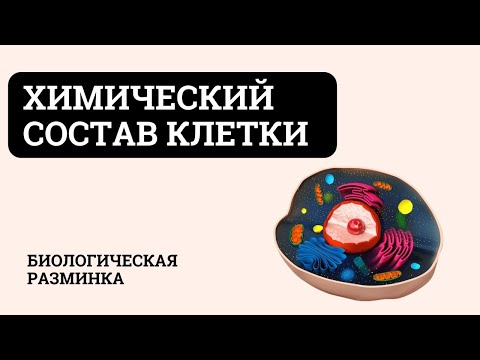 Видео: Химический состав клетки