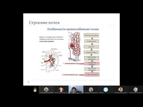 Видео: МКБ, ХБП, цистит