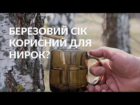 Видео: БЕРЕЗОВИЙ СІК «ВИГАНЯЄ» КАМЕНІ З НИРОК? /Лікар-уролог Валерій Камінський