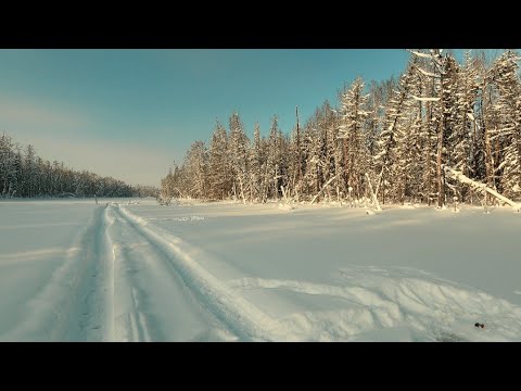 Видео: Февральская рыбалка на щучьей реке 2023