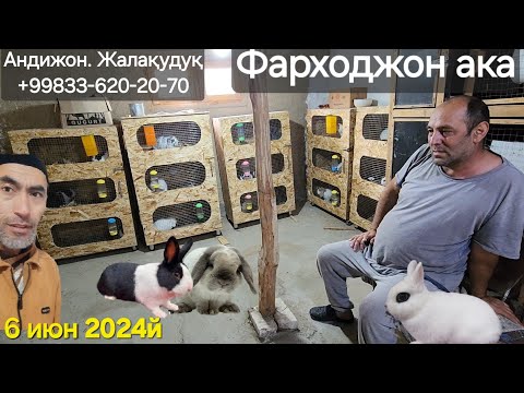 Видео: Фарходжон ака Қуён фермаси.