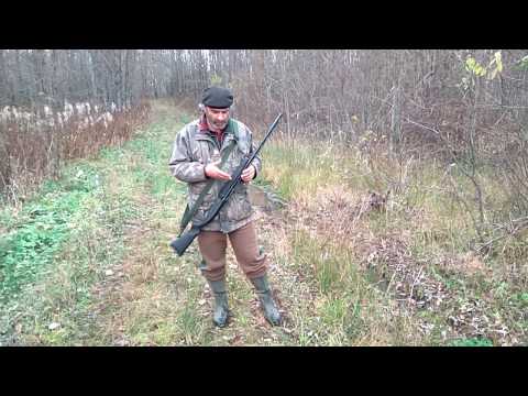 Видео: На сопках Вепсарии или с "Зубром" на зайца - 2.