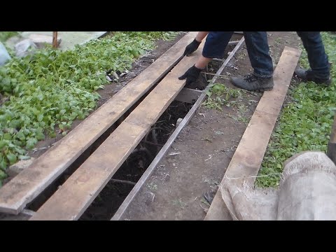 Видео: Подготовка и укрытие на зиму кустов инжира
