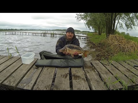 Видео: Ловля карпа в НИКОЛАЕВКЕ