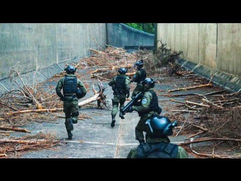 Видео:  Адамзаттың 99%-ы зомбиға айналады, ал қалғандары аралға тығылуға мәжбүр болады →