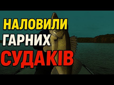 Видео: 🐊 Angry Baits проти судака — жорстка битва і шалений результат!