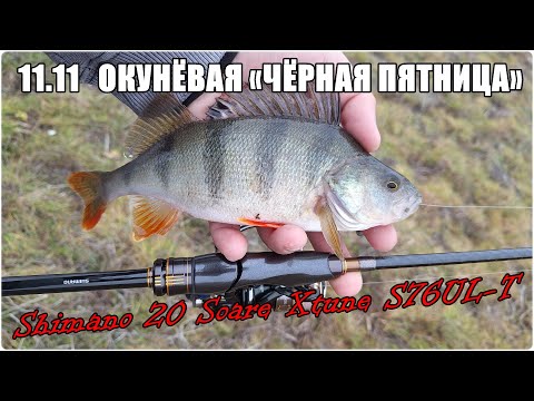 Видео: 11.11 Окунёвая «чёрная пятница». Ловля на Shimano 20 Soare Xtune S76UL-T