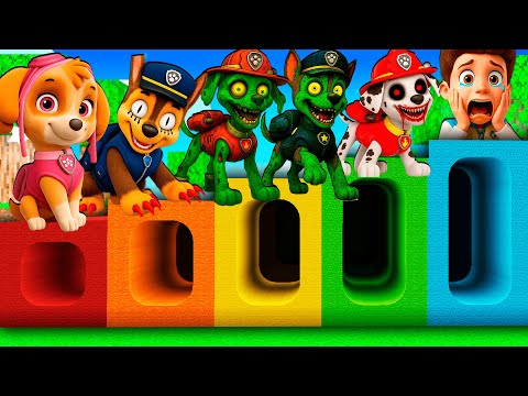 Видео: ВЫЖИВАНИЕ ВНУТРИ РАДУЖНЫЙ ТОННЕЛЬ ЩЕНЯЧИЙ ПАТРУЛЬ СКАЙ ЕХЕ РАЙДЕР В МАЙНКРАФТ МУЛЬТИК