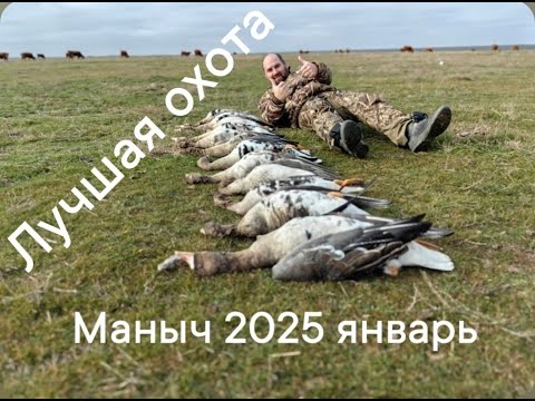 Видео: ОХОТА НА ГУСЯ Фильм ЯНВАРЬ 2025. ПЕРВАЯ И ЛУЧШАЯ ОХОТА Маныч 2025