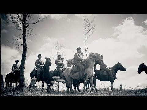 Видео: «Это надо живым». Кущевская, Ейск