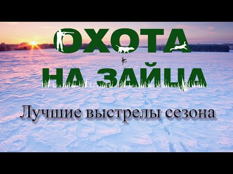 Видео: Лучшие моменты охоты на зайца 2021-2022. ИТОГИ СЕЗОНА-ЛУЧШИЕ ВЫСТРЕЛЫ. ЧАСТЬ ПЕРВАЯ