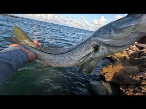 Видео: I'm tired of pulling out fish!!! Устал вытаскивать рыбу!!!