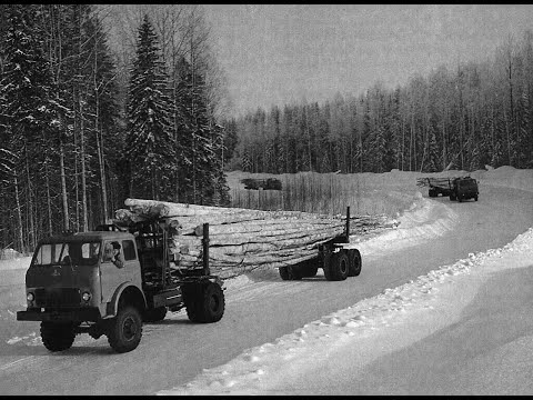 Видео: Лесовозы. Вывозка леса в хлыстах. Вытегорский район.