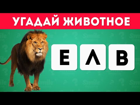 Видео: УГАДАЙ ЖИВОТНОЕ ПО БУКВАМ/ АНАГРАММА 🐮🦝🐷🐱