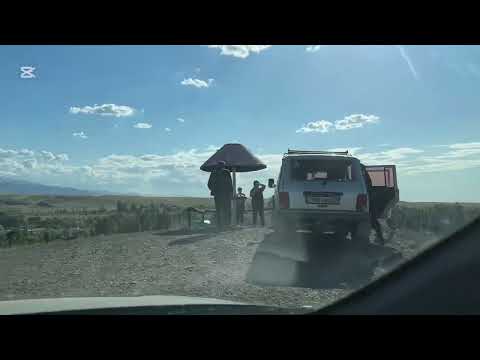 Видео: Уйгурская песня  ,,Гәплирим бар”