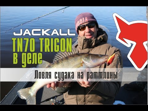 Видео: Ловля судака на раттлины. Jackall TN70 TRIGON в деле