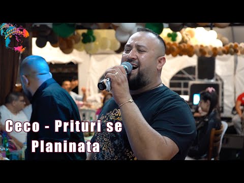 Видео: CECO & ORK .PRIMA - PRITURI SE PLANINATA, LIVE 2024/ЦЕЦО & ОРК ПРИМА - ПРИТУРИ СЕ ПЛАНИНАТА